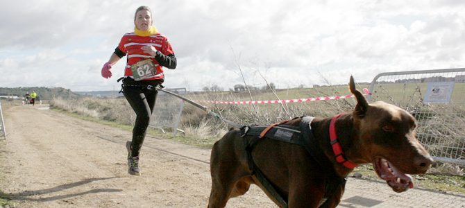 El Club Mushing Atletismo Arroyo acerca este nuevo deporte a la provincia